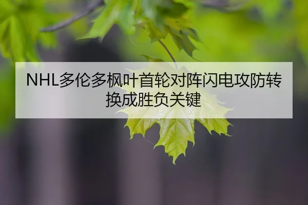 duo-lun-duo-feng-ye-shou-lun-dui-zhen-shan-dian-gong-fang-zhuan-huan-cheng-sheng-fu-guan-jian-2-959.jpg