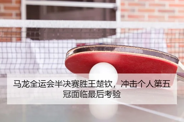 ma-long-quan-yun-hui-ban-jue-sai-sheng-wang-chu-qin-chong-ji-ge-ren-di-wu-guan-mian-lin-zui-hou-kao-yan-3-866.jpg